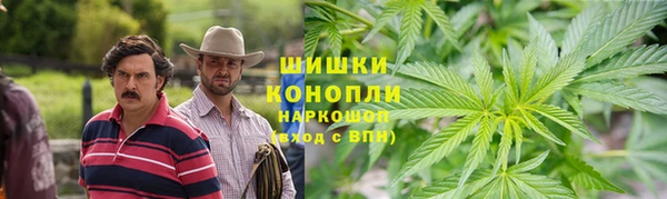 кокс Гусев