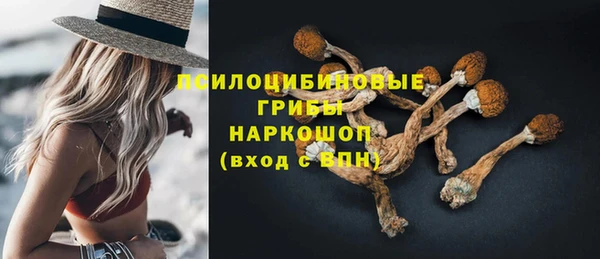 кокс Гусев