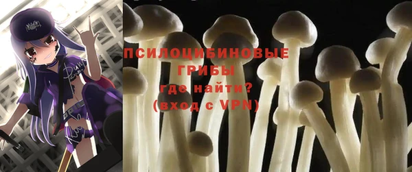 кокс Гусев