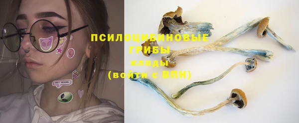 первитин Горнозаводск