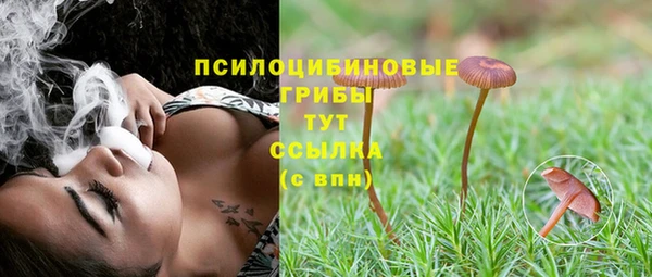 mdpv Гусиноозёрск