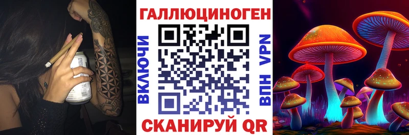 Купить  Онега  Псилоцибиновые грибы Psilocybine cubensis 